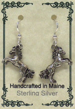 Load image into Gallery viewer, Horse Earrings - Lively Accents